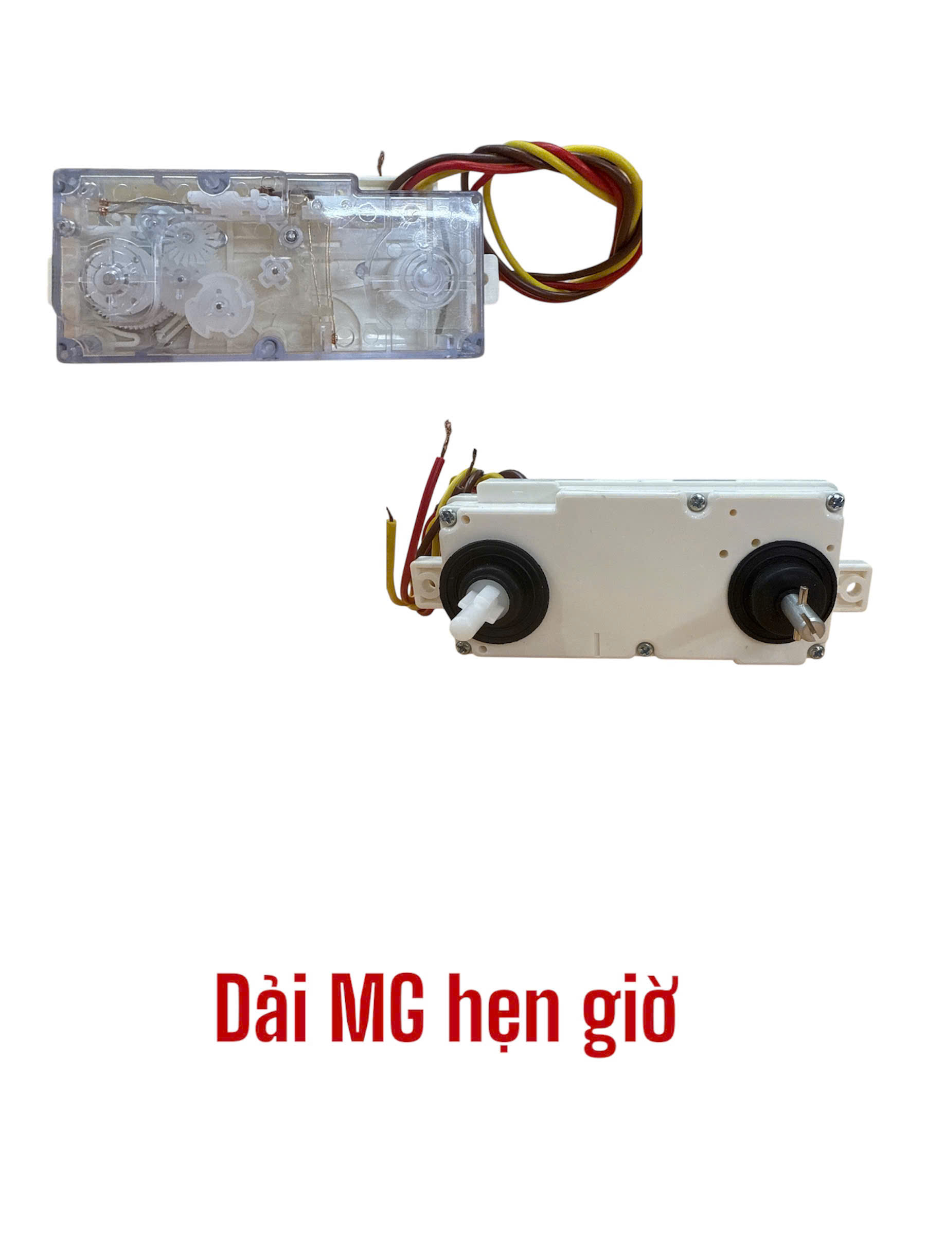 Dải máy giặt hẹn giờ