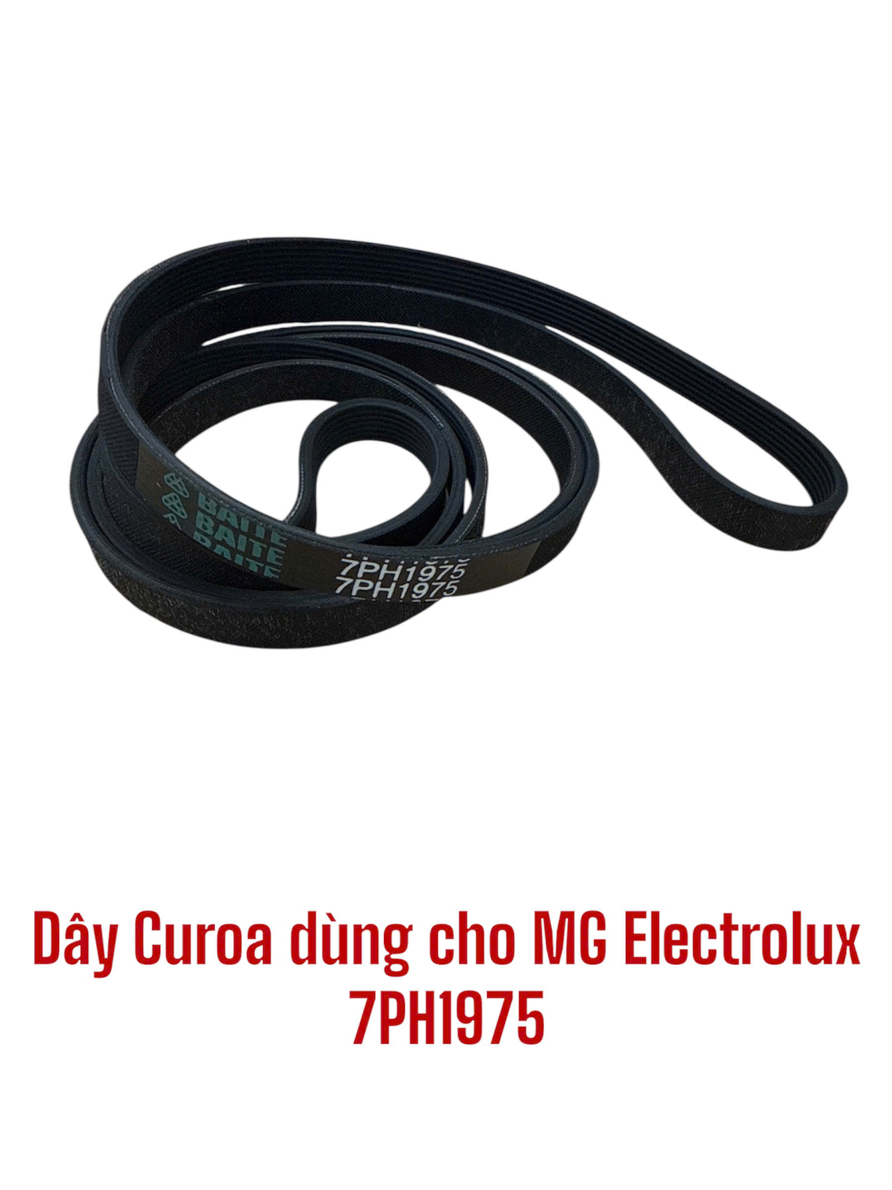 Dây curoa dùng cho máy giặt Electrolux 7PH1975
